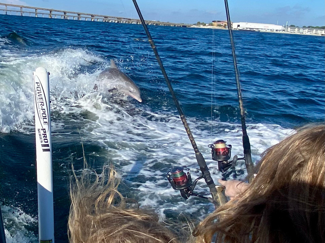 Coastal Life Charters & Adventures-纳瓦拉必去景点