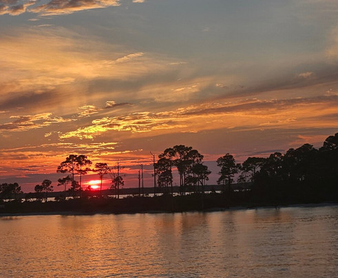 Sunny Lady Dolphin & Sunset Cruise at The Wharf-橙色海湾必去景点