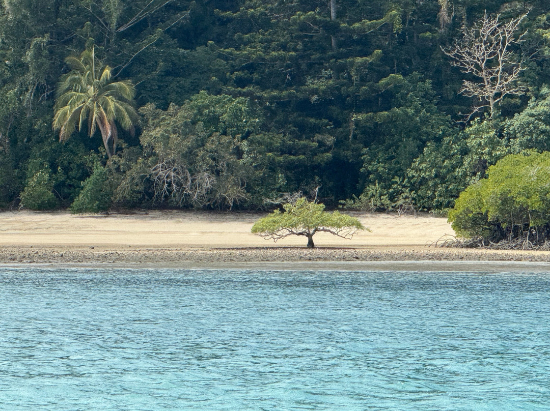 Hamilton Island Jet Ski Tours-汉密尔顿岛必去景点