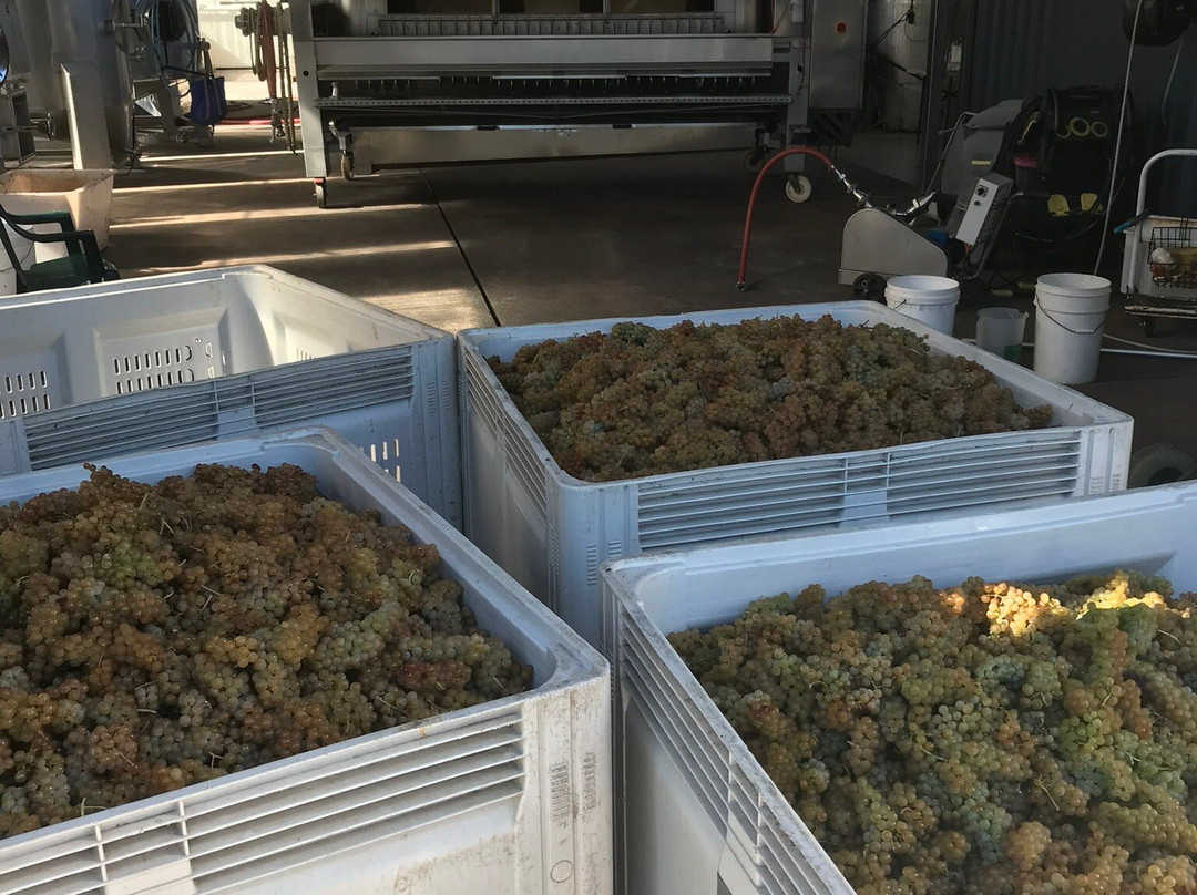 Squishedberry-波兰甸必去景点