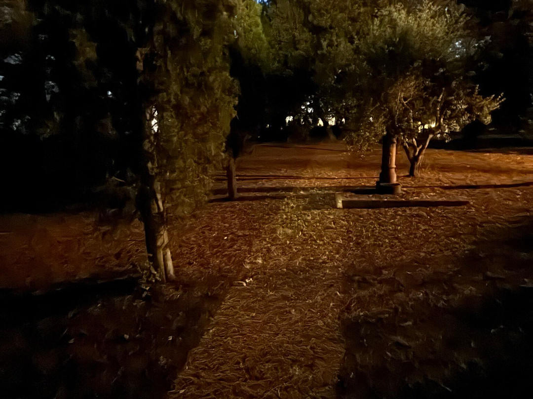 Relais Casale Il Poggetto主图