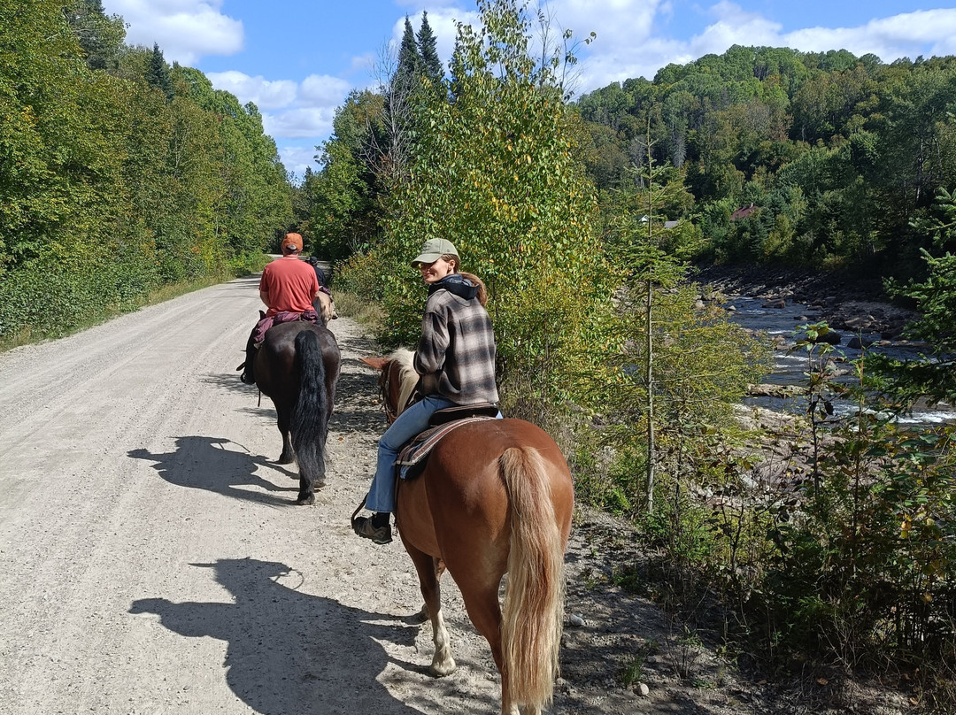 Centre Equestre des Plateaux-L'Anse-Saint-Jean必去景点