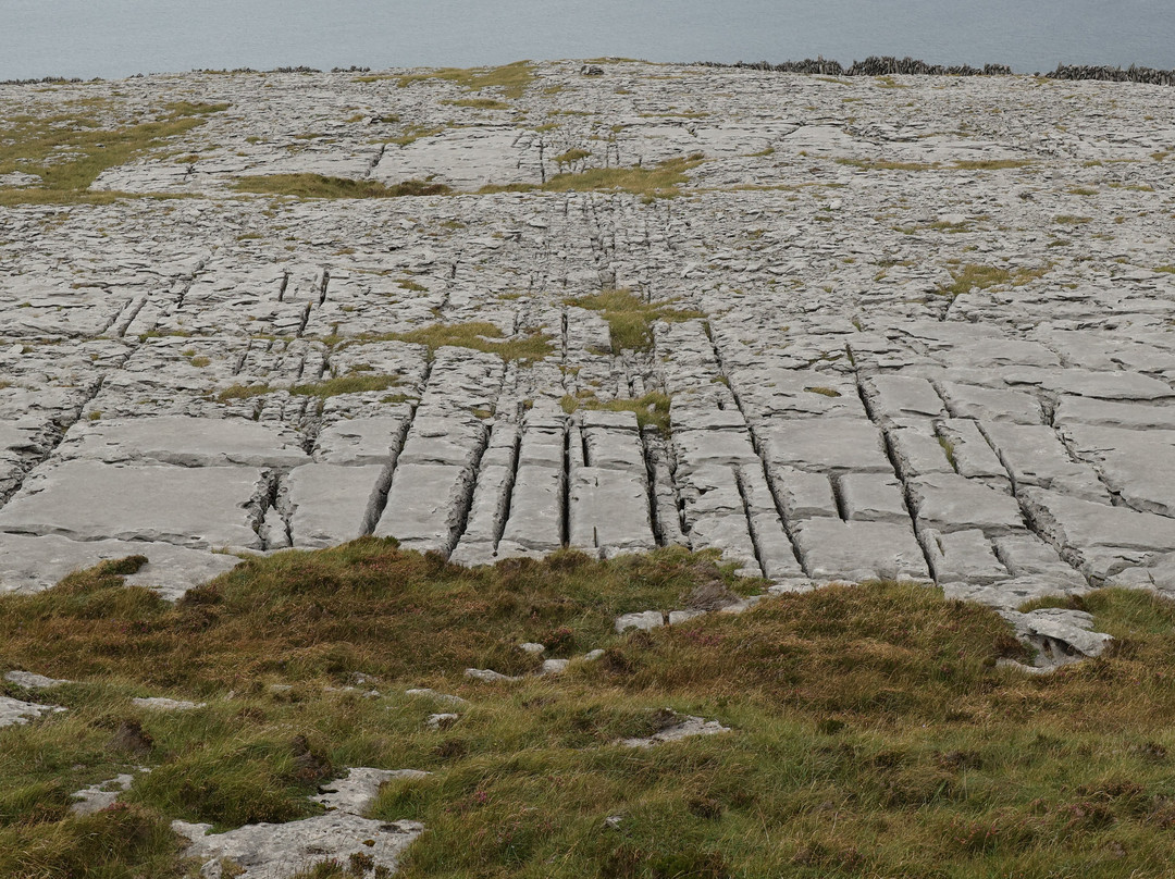 Burren Mountain Tours-Fanore必去景点
