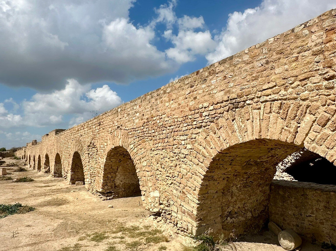 Carthage  Aqueduct-迦太基必去景点