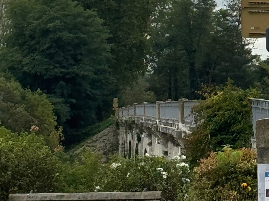 Pont Eugénie Desjobert De Saubusse-Saubusse必去景点