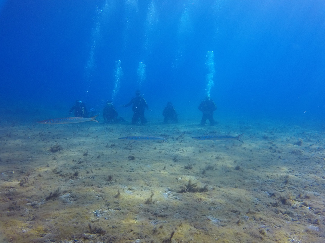 Arian Diving Centre-卡达米那必去景点