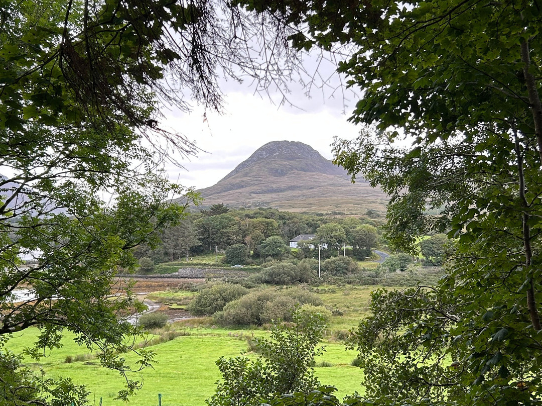 Rosleague Manor Hotel主图