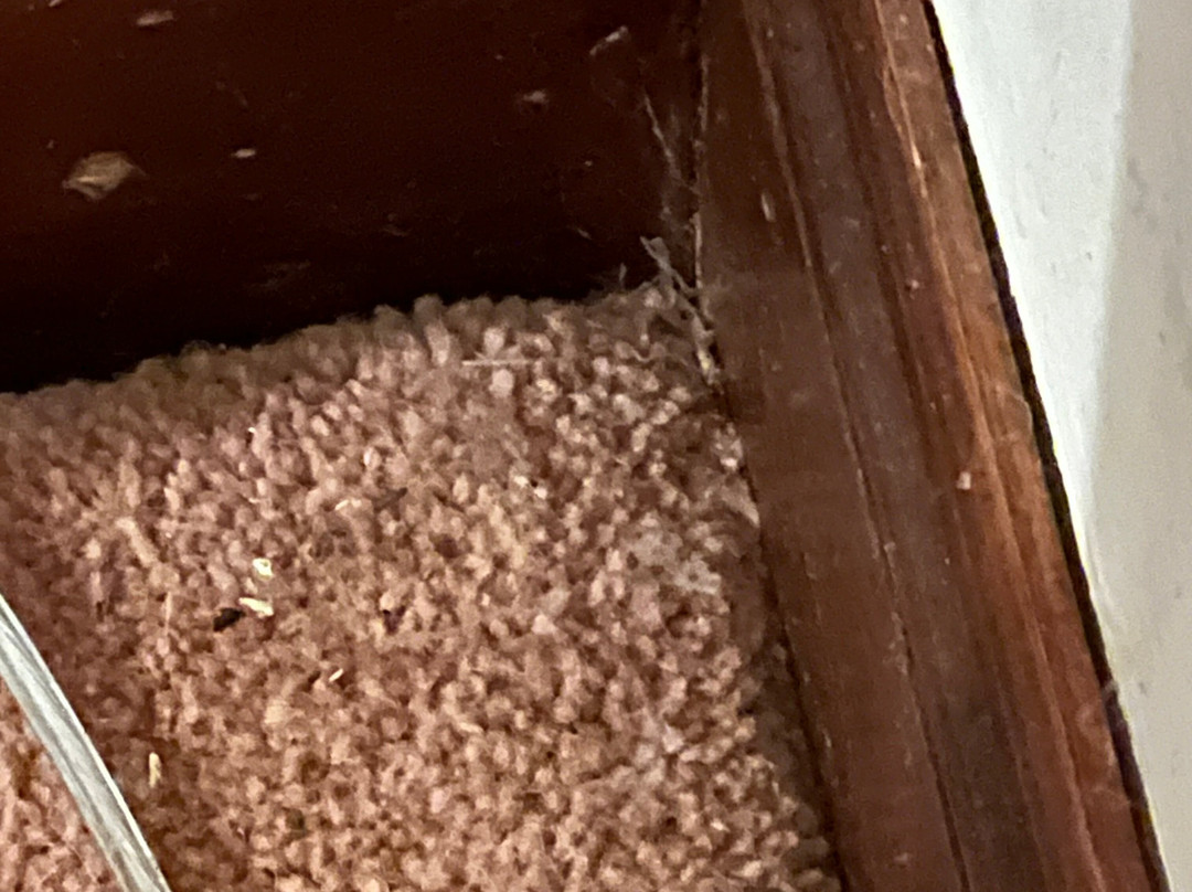 Strathburn Hotel Inverurie by Compass Hospitality主图