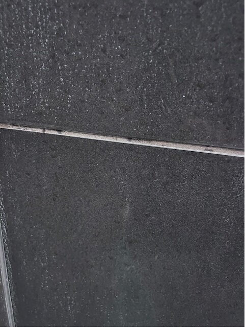 西普雷丝/安纳海姆凯悦酒店主图