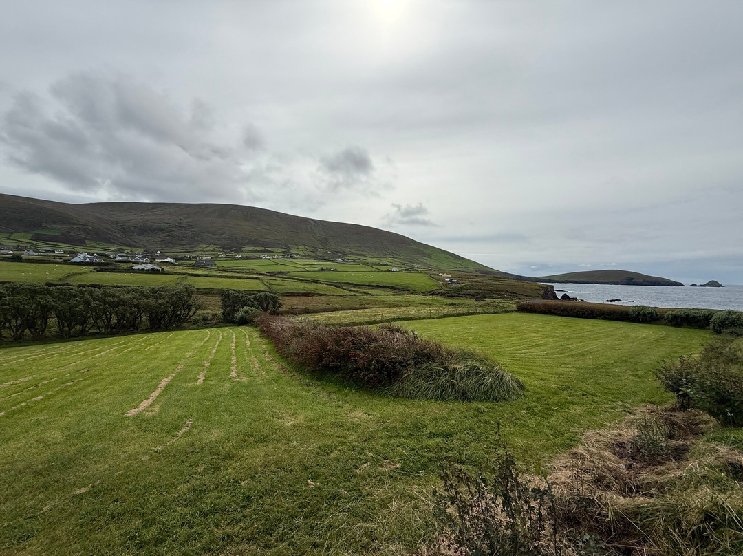The Blasket Centre - Ionad an Bhlascaoid-Dunquin必去景点