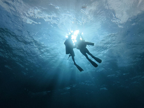 French Kiss Divers Lembongan-蓝梦岛必去景点