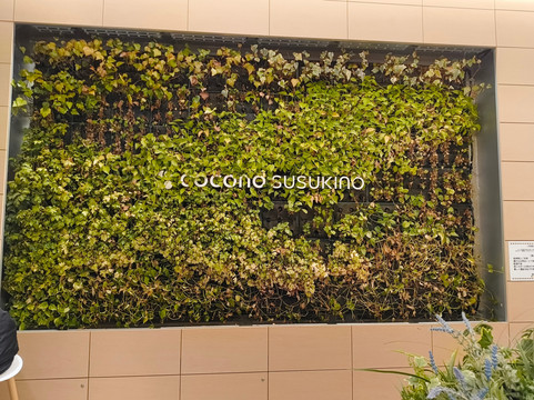 Cocono Susukino-札幌市必去景点