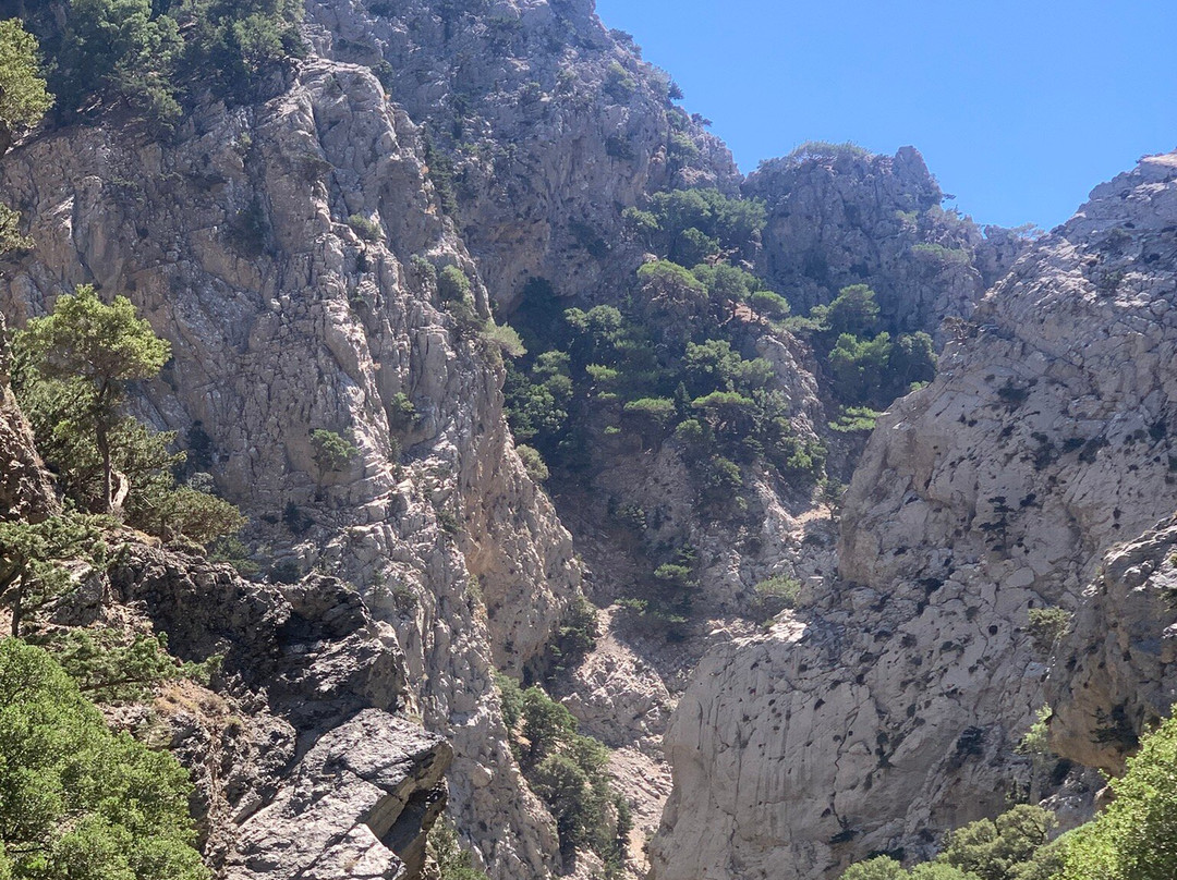 Rouvas Gorge (Agiou Nikolaou)-Zaros必去景点