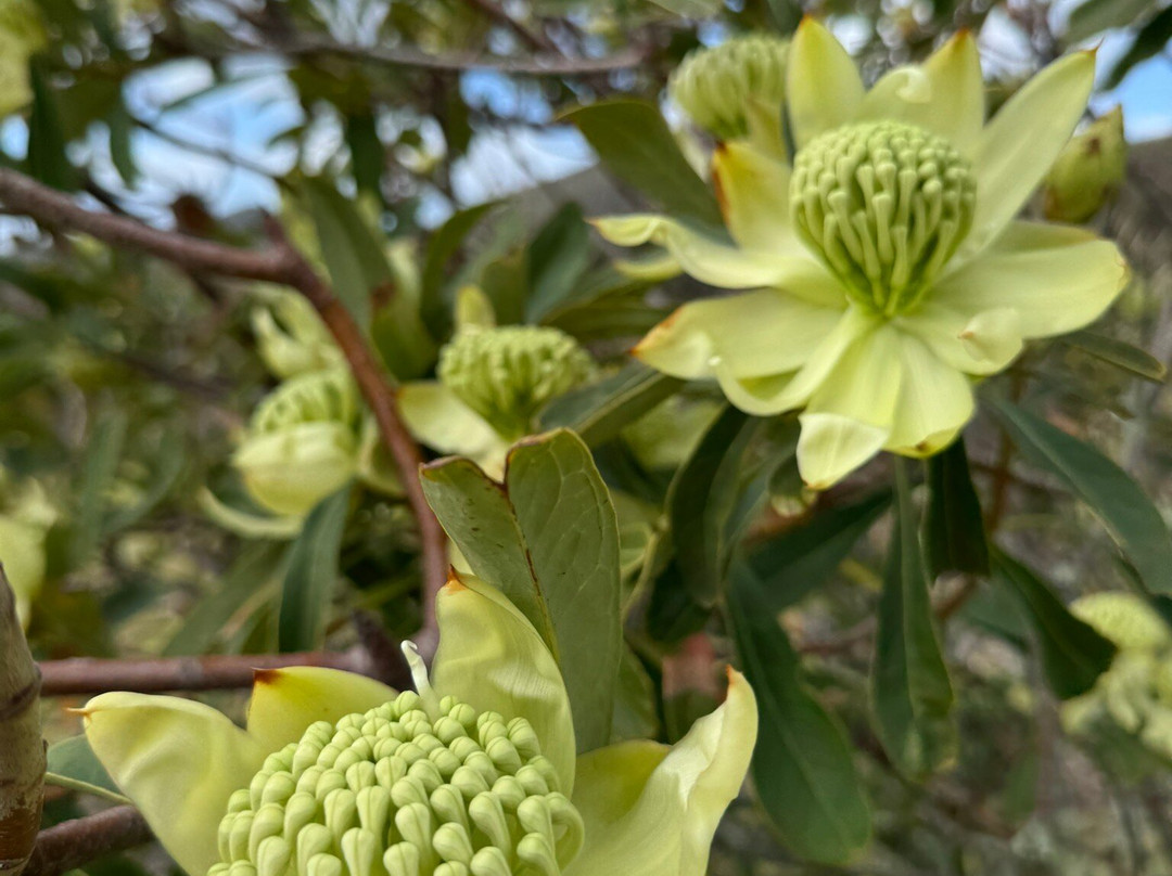 Rocky Cape Retreat主图