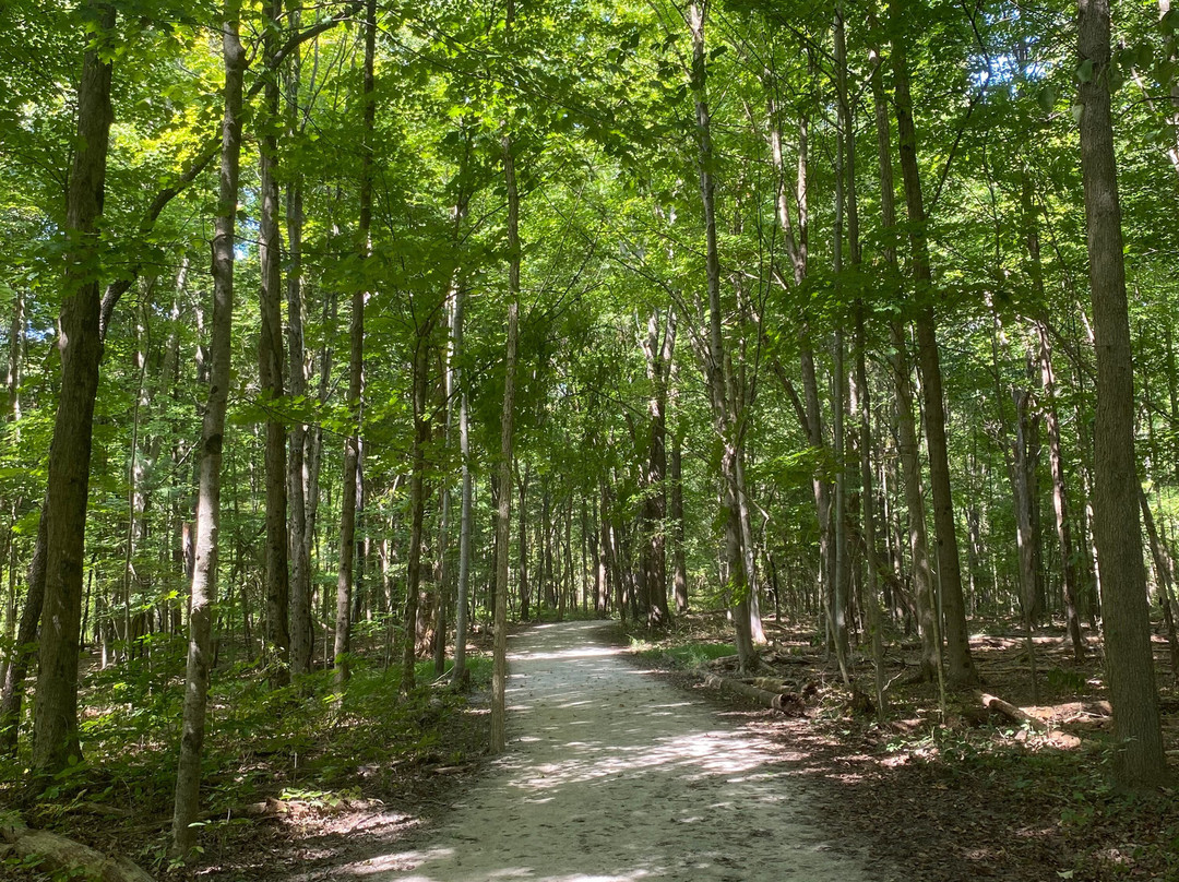 Char-mar Ridge Park-韦斯特维尔必去景点