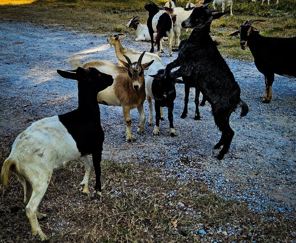 Jackson Lake Island-Millbrook必去景点