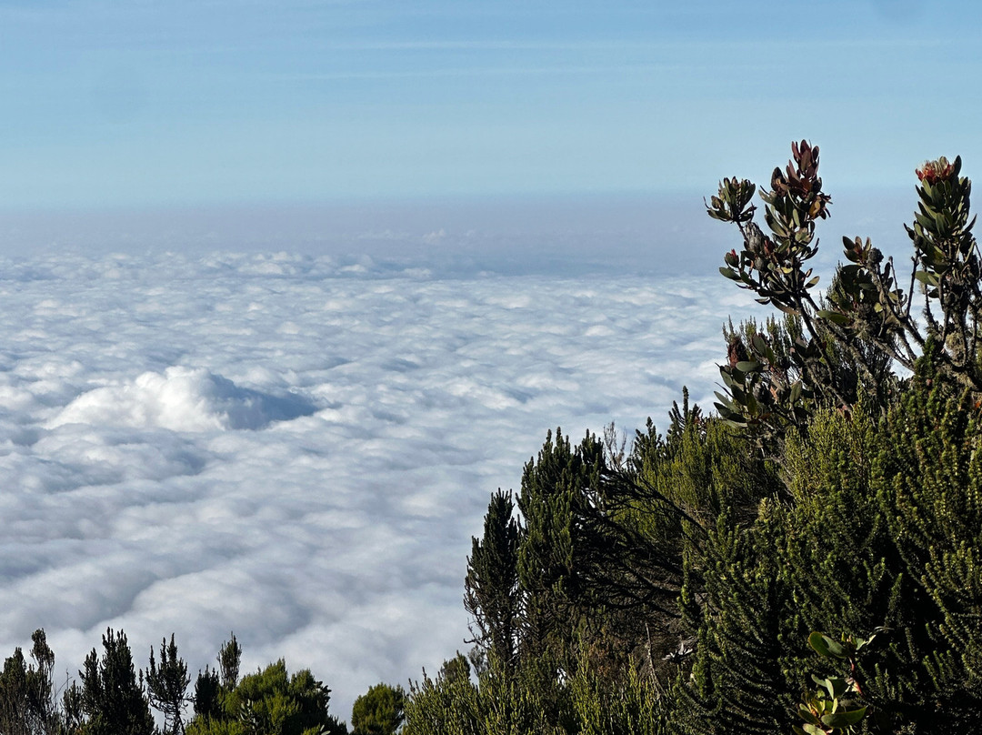 Bless Africa Tours and Safaris-莫西必去景点