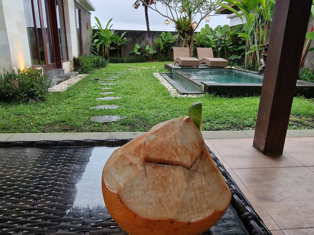 Three Gold Luxury Private Villa主图