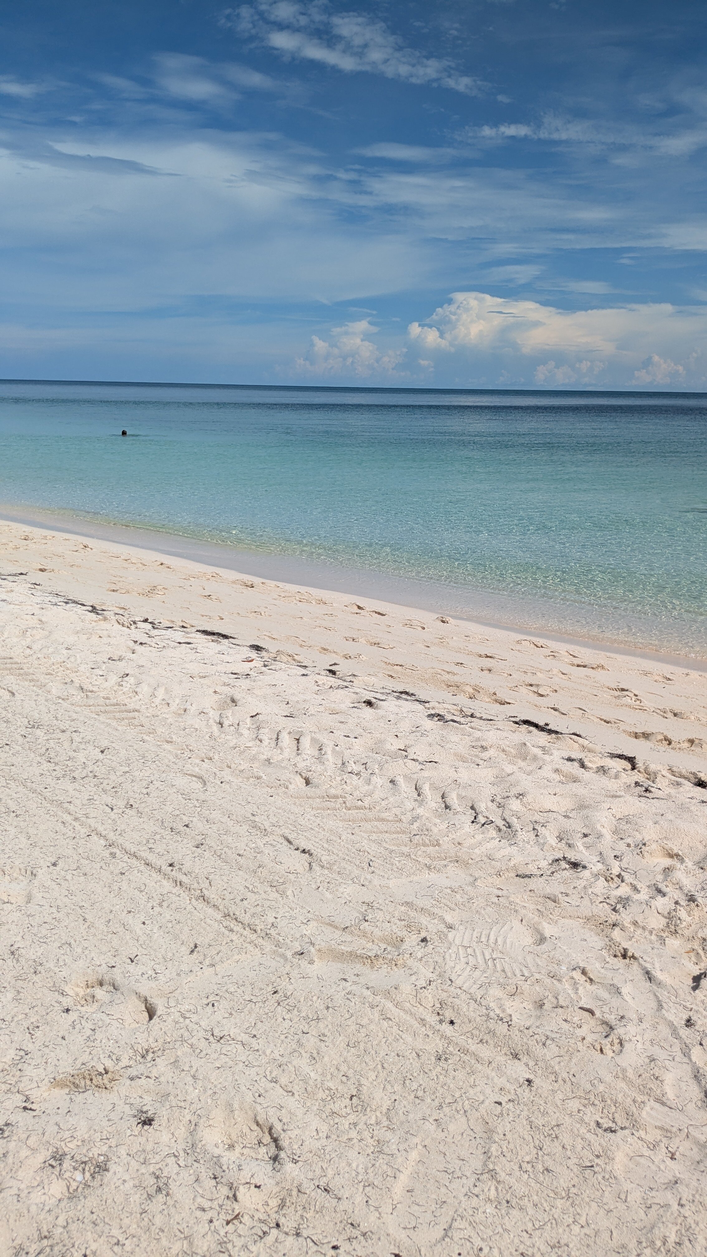 Sol Cayo Coco-泳池