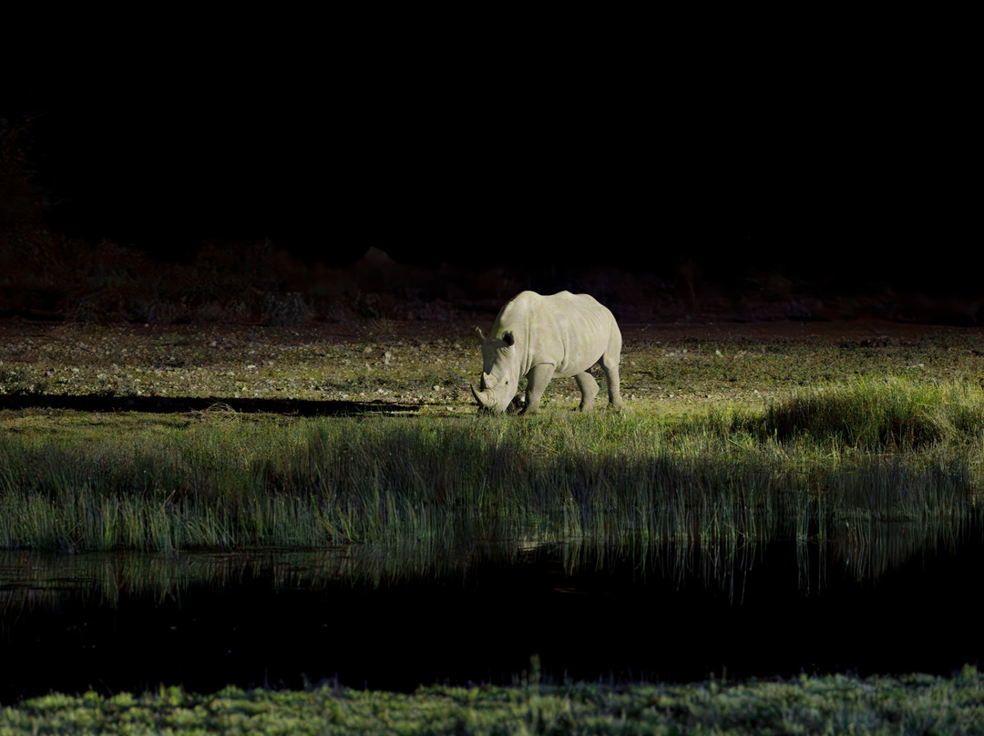 Onguma Bush Camp主图