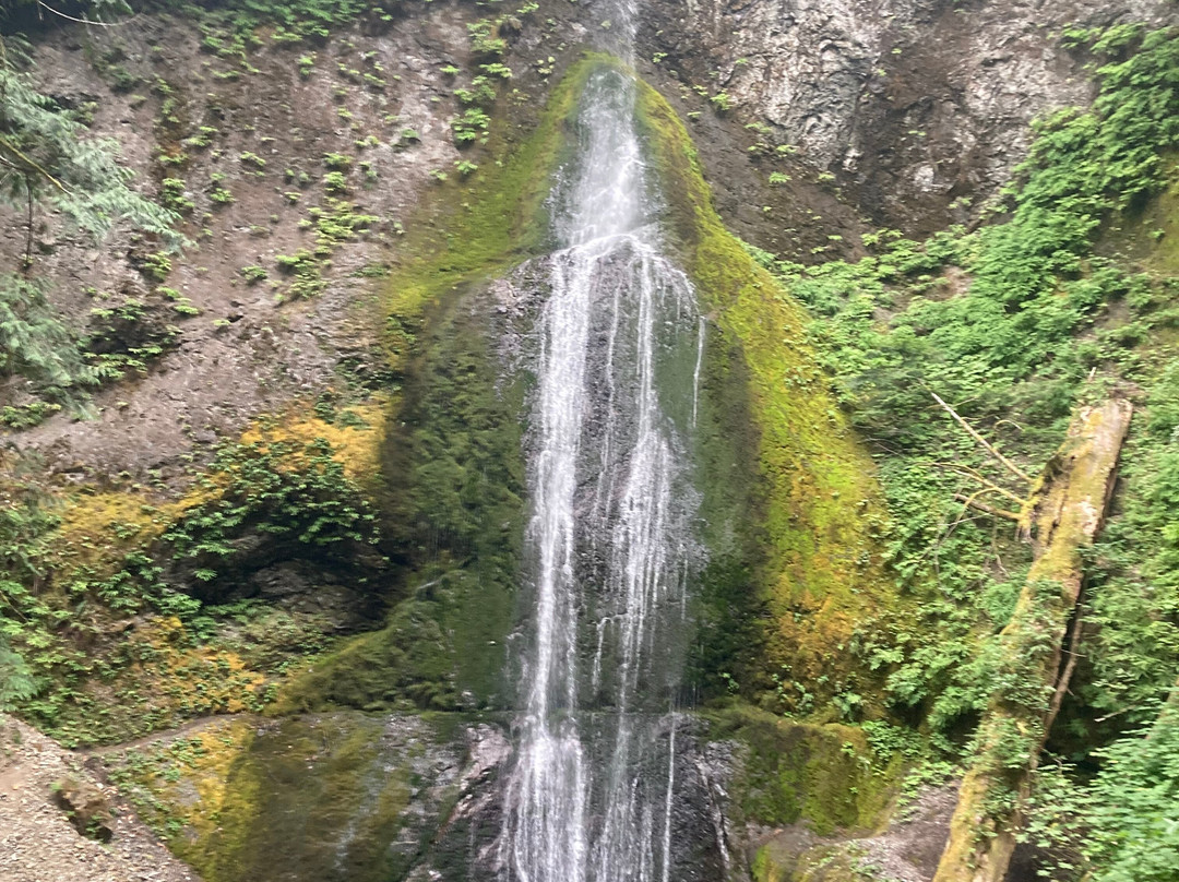 The Dew Drop Inn Motel主图