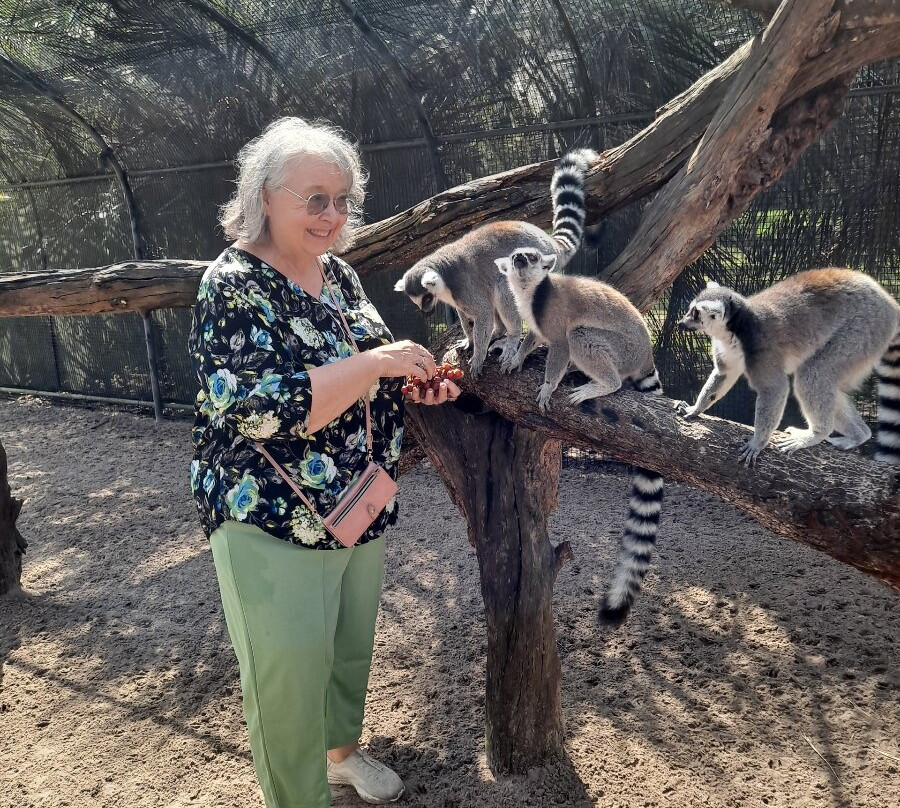 Giraffe Ranch-Dade City必去景点