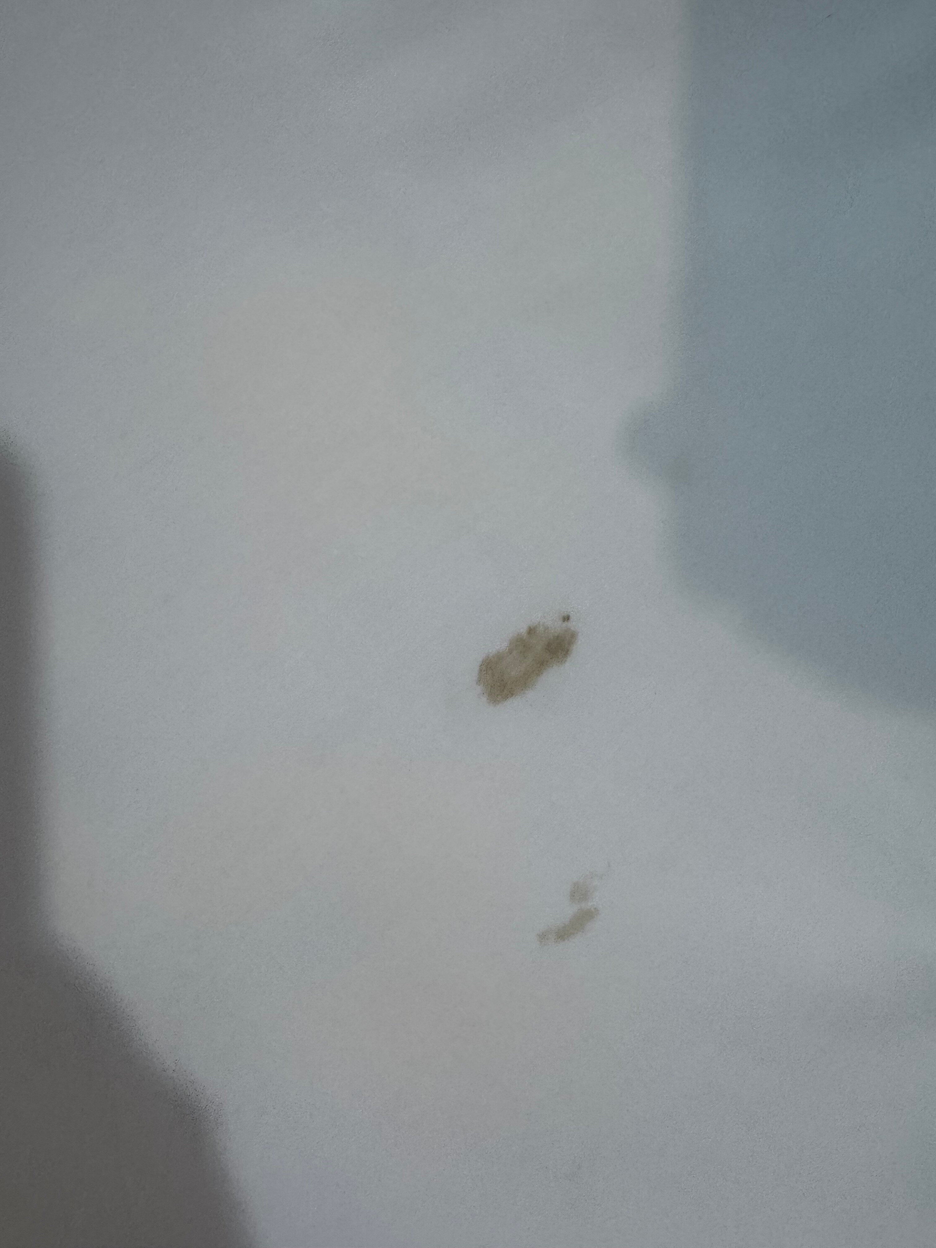 City Centre Guest House - Gloucester Park-官方