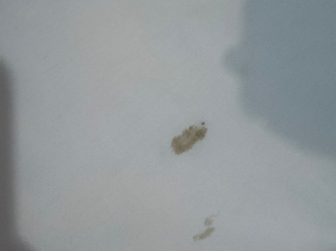 City Centre Guest House - Gloucester Park主图