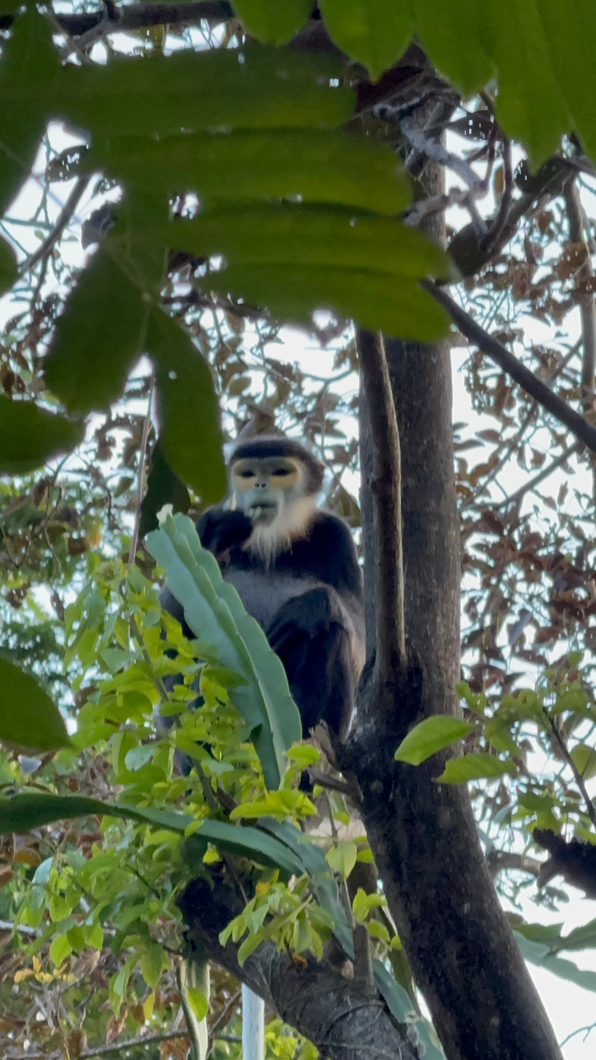 安澜宁万湾别墅度假村-浴室