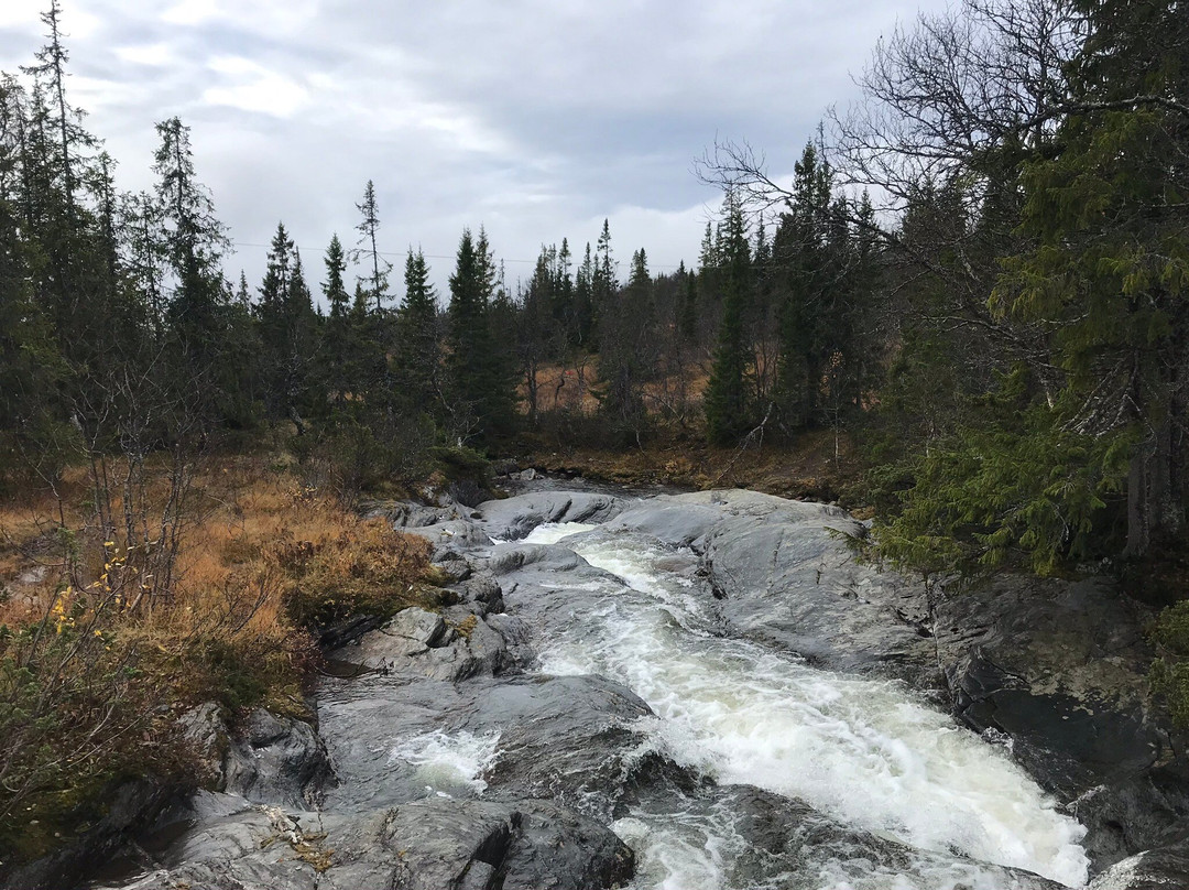 Best Western Hotel Gamla Teatern主图