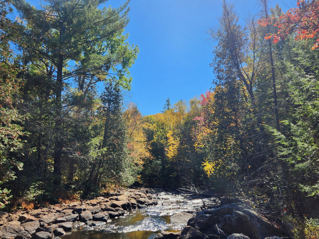 South Algonquin Trails-Harcourt必去景点