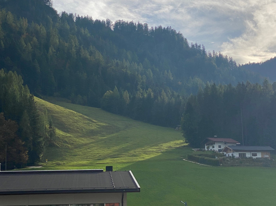 Hotel Tiroler ADLER Bed & Breakfast主图