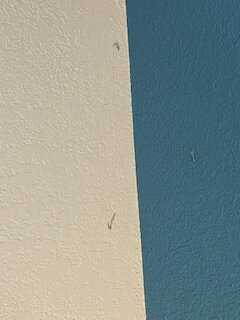 Fairview Inn & Suites Whitewater WI主图