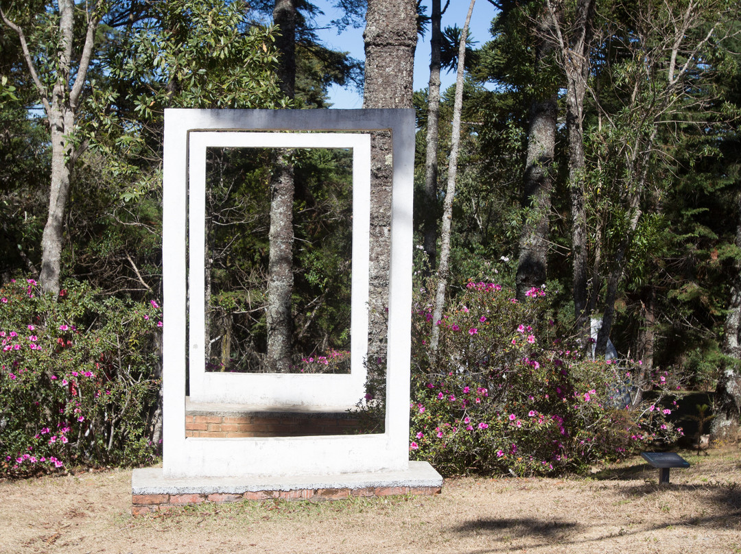 Museu Felícia Leirner-坎普斯－杜若尔当必去景点