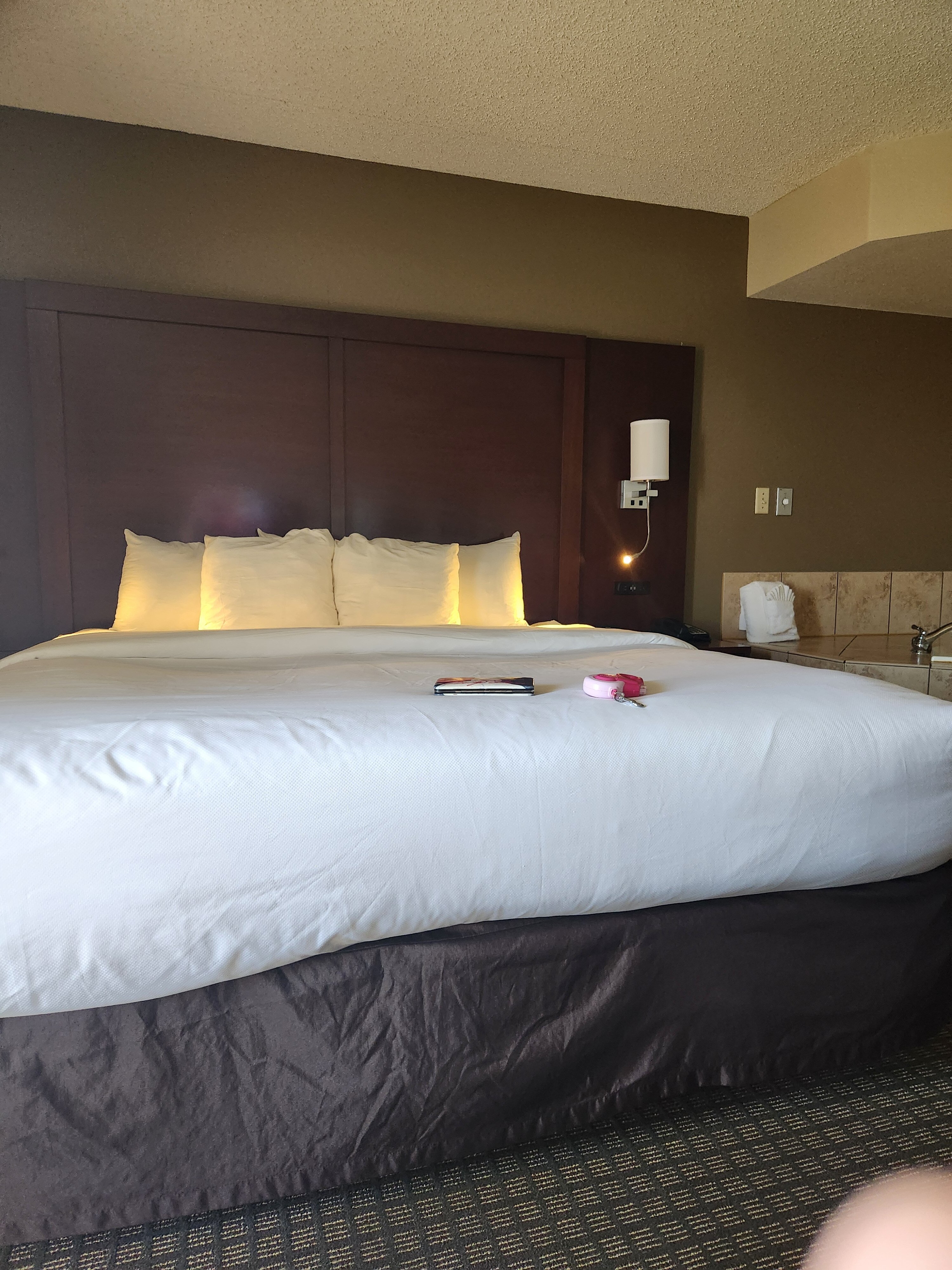 Comfort Inn & Suites-官方