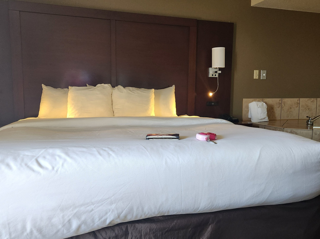 Comfort Inn & Suites主图