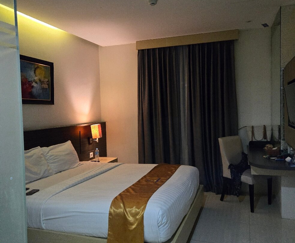 The Safin Hotel Pati主图