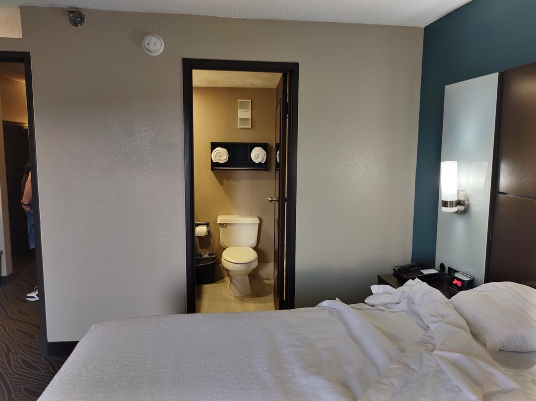 Best Western Plus Galleria Inn & Suites主图
