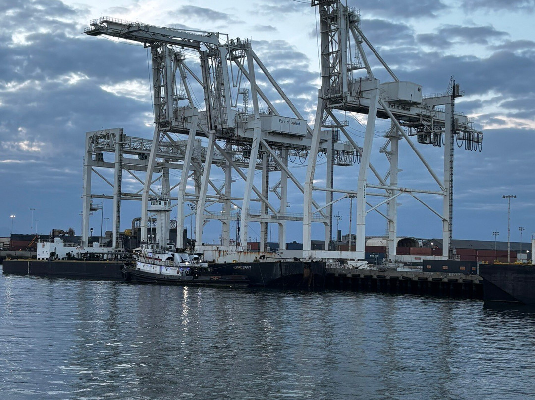 Port View Park-奥克兰必去景点