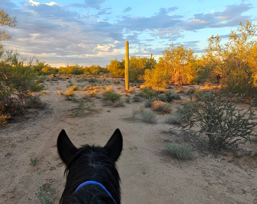 MacDonald's Ranch-斯科茨代尔必去景点
