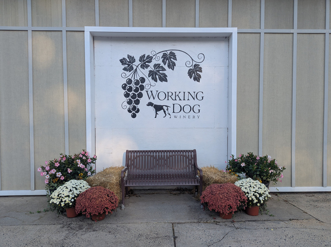 Working Dog Winery-东温莎必去景点