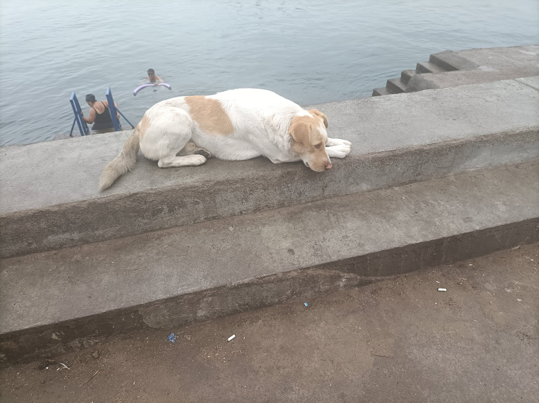 Puerto de Coquimbo-Coquimbo必去景点