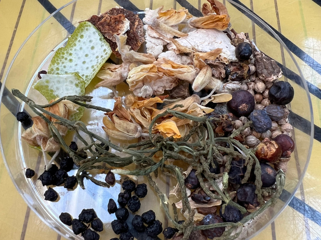 Conker Gin Distillery-Southbourne必去景点