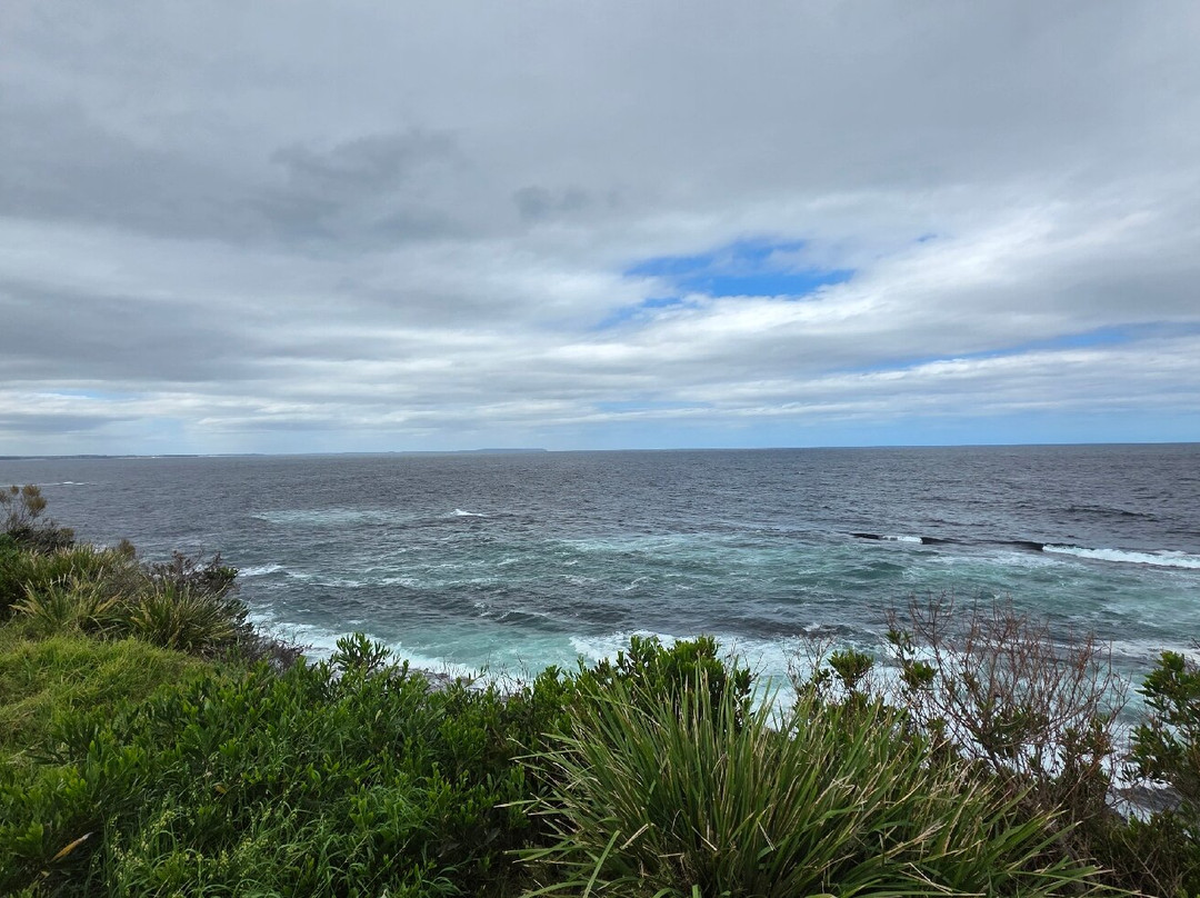 Warden Head Light-阿勒达拉必去景点