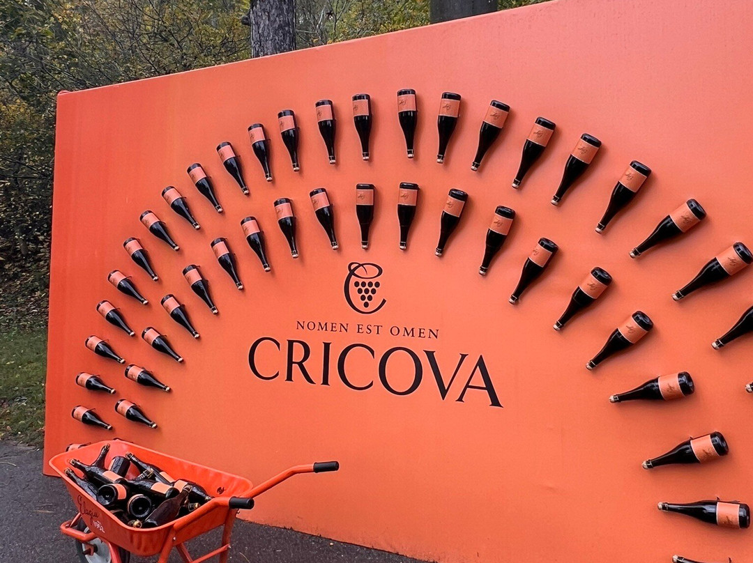 Cricova Winery-Cricova必去景点