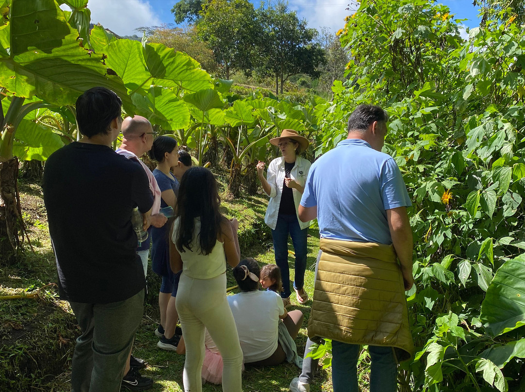 La Huerta Hotel主图