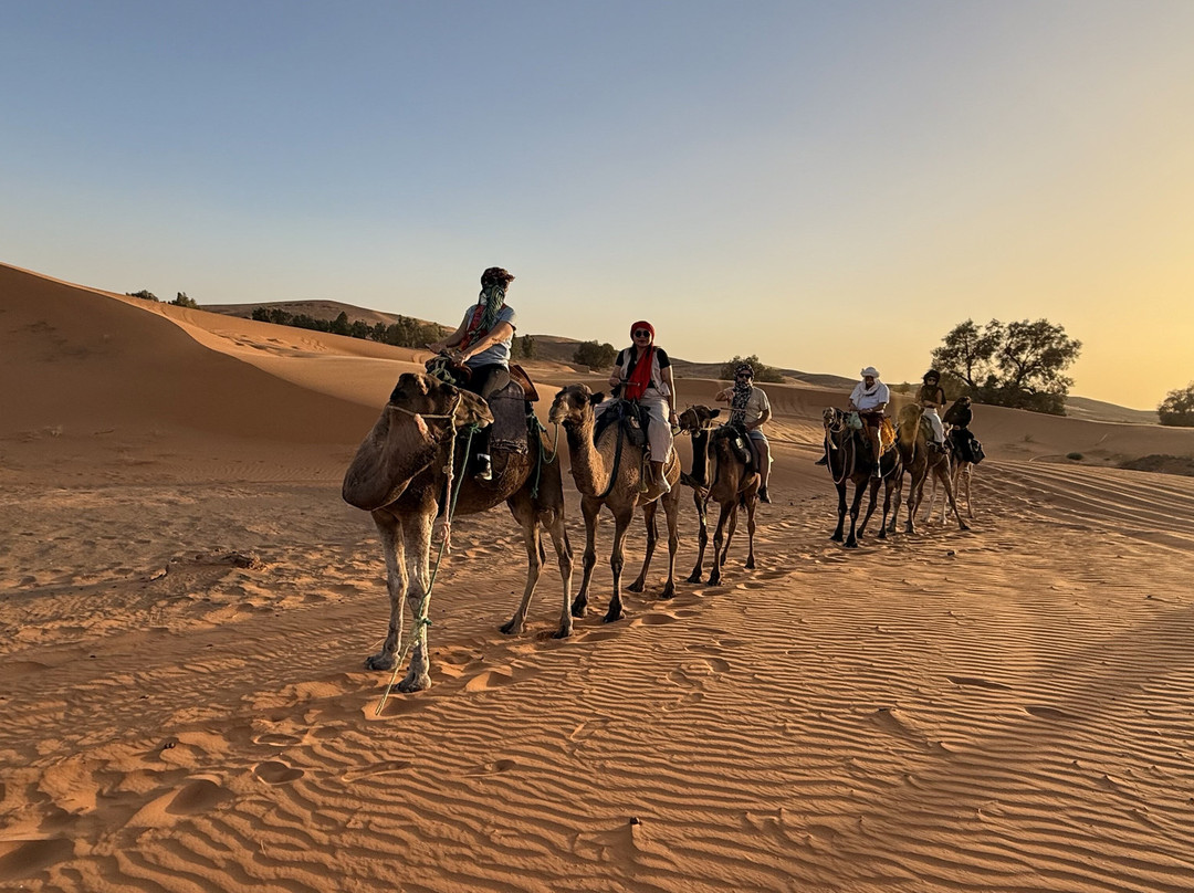 摩洛哥沙漠探险之旅-丹吉尔必去景点