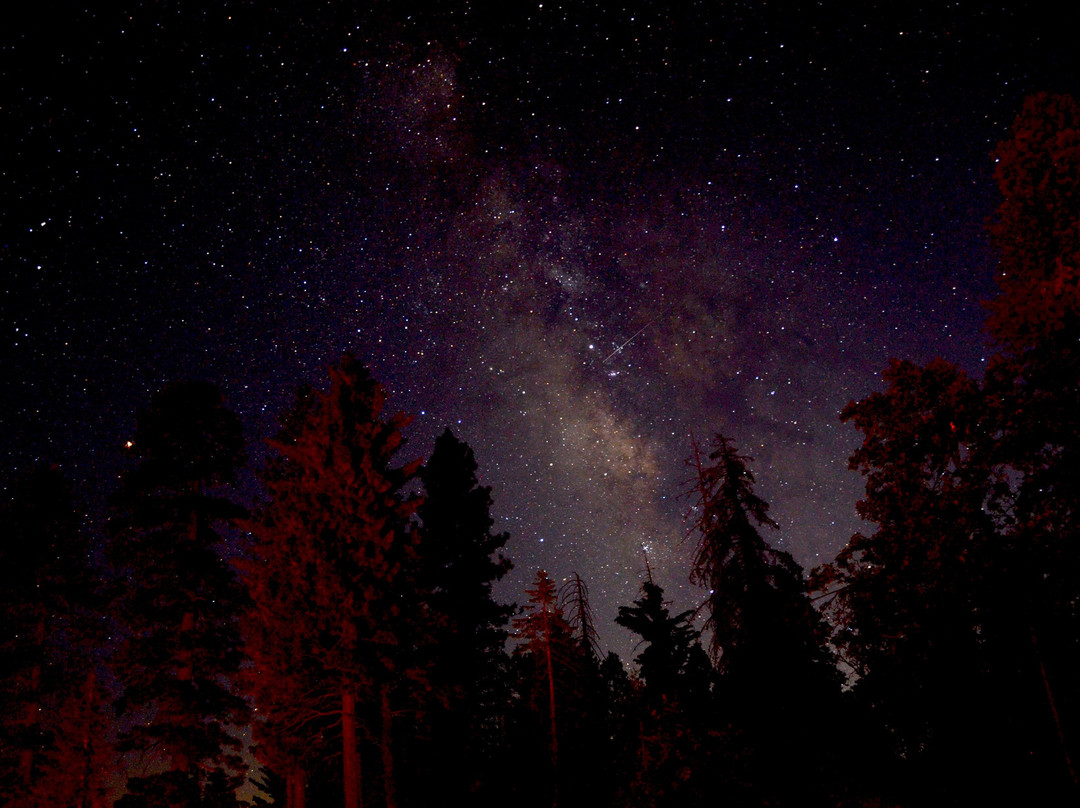 Sequoia Parks Conservancy-Three Rivers必去景点