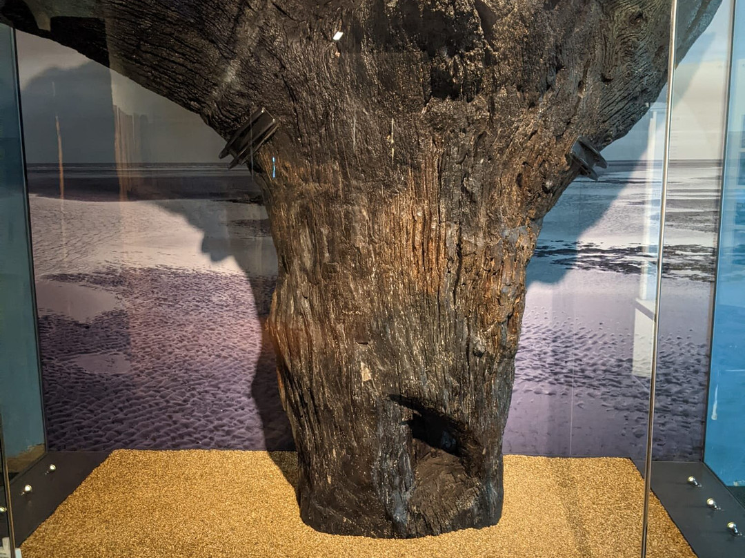 Lynn Museum-金斯林必去景点
