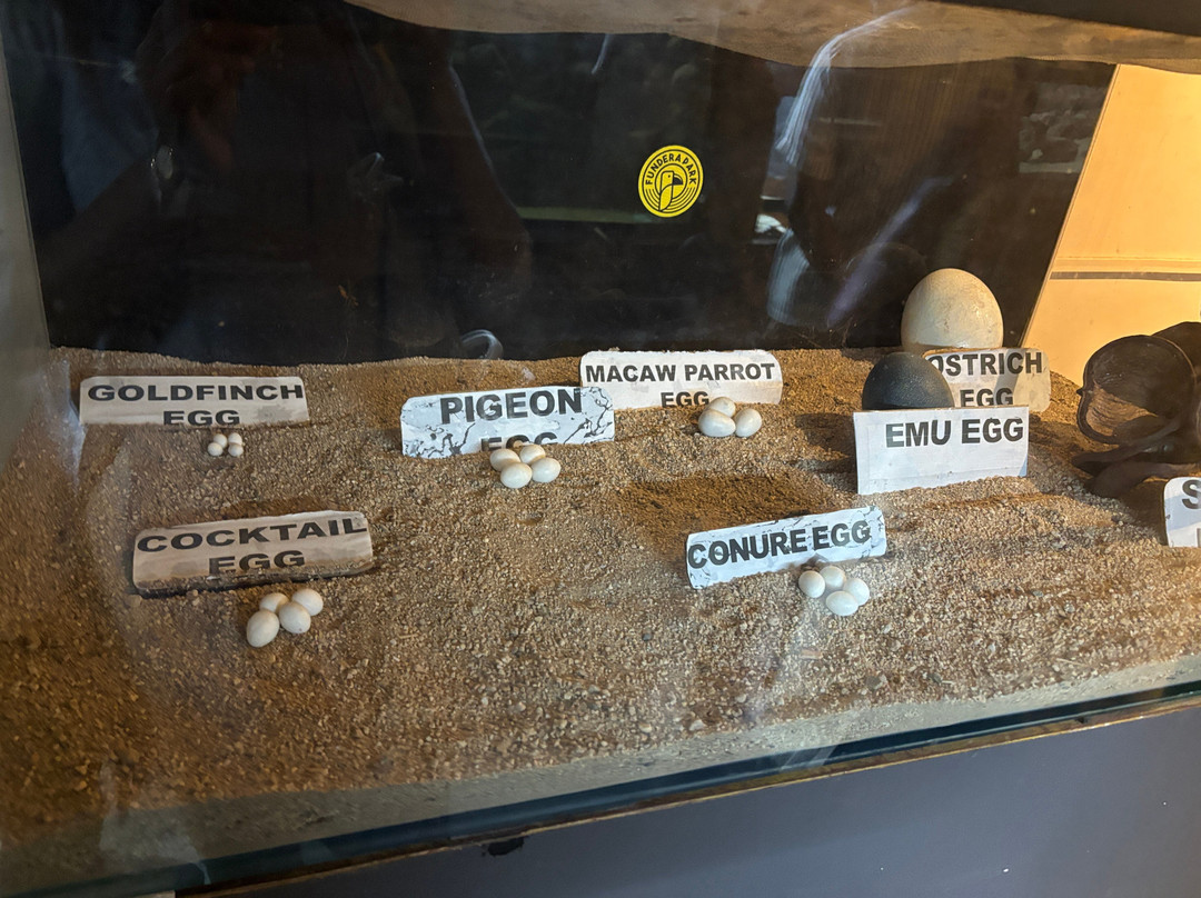 Fundera Park-Yelagiri必去景点